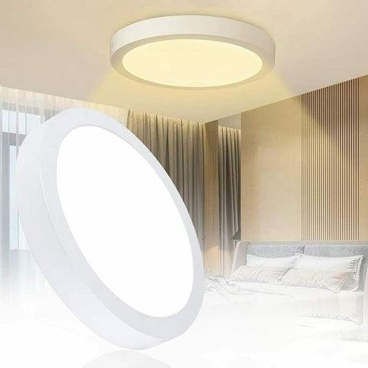 SURFACE MOUNTED CEILING LIGHT