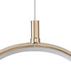 CRYSTAL LED GOLD RING PENDANT LIGHT