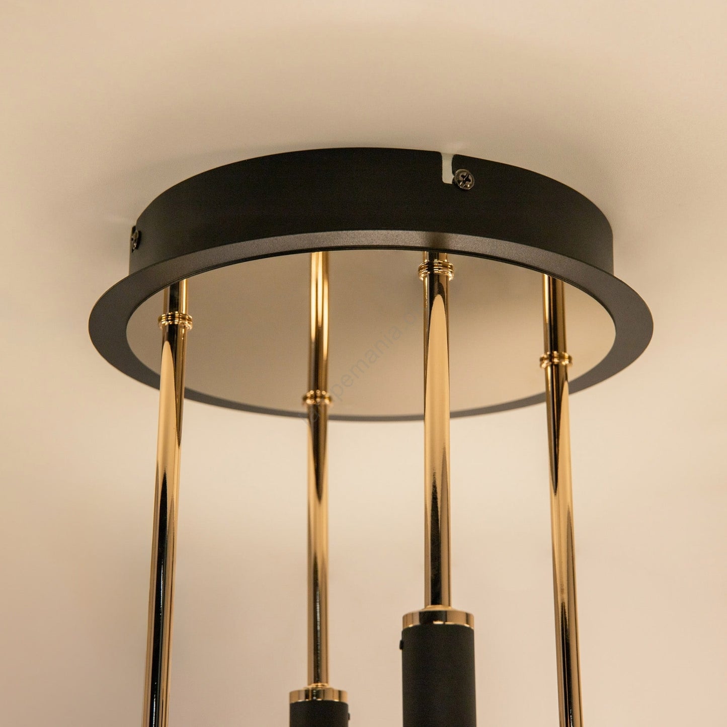Ceiling light fixture with black and gold design on a neutral background