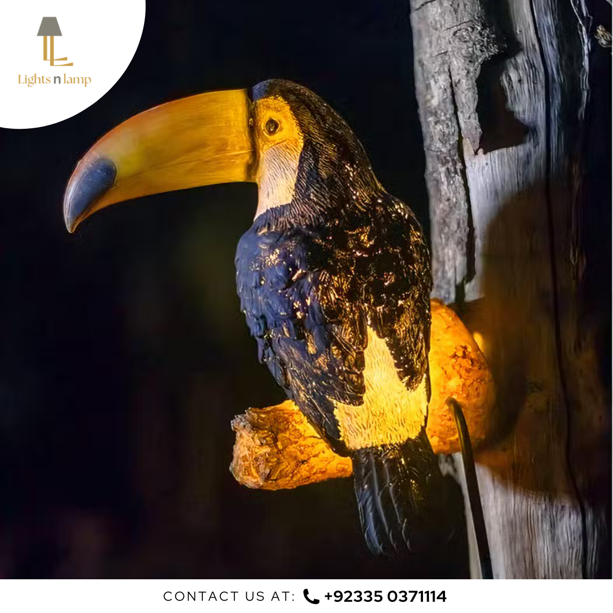 Toucan-shaped lamp with a dark background